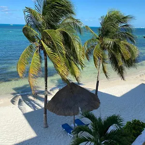 Tropical Appartement