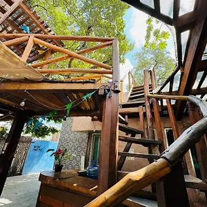 Ahava Boutique Hostel
